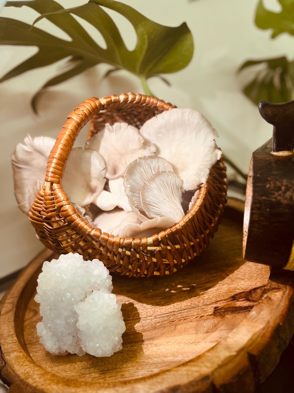 Oyster Mushrooms-image